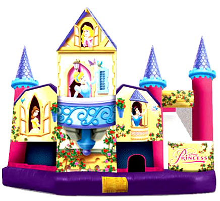 11Mega Princess bounce house combo