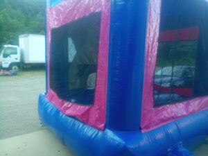 4Frozen Bounce House moonwalk side