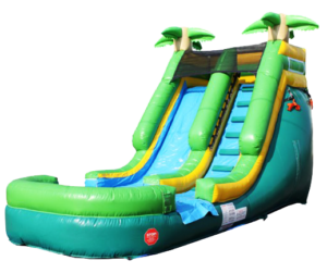 15Paradise Plunge Wet Dry slide