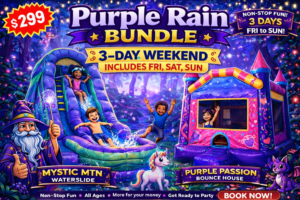 Purple Rain Party Rental Bundle